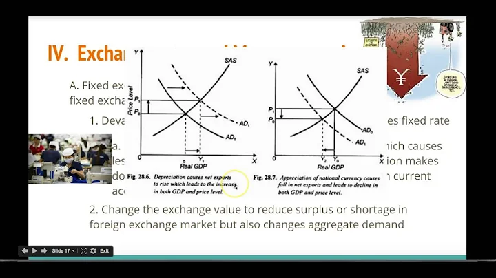 Module 44 Notes: Exchange Rates and Macro Policies - DayDayNews