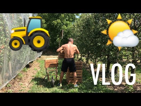 🚜-cambio-mestiere...👨🌾-per-1-giorno---vlog-nei-campi