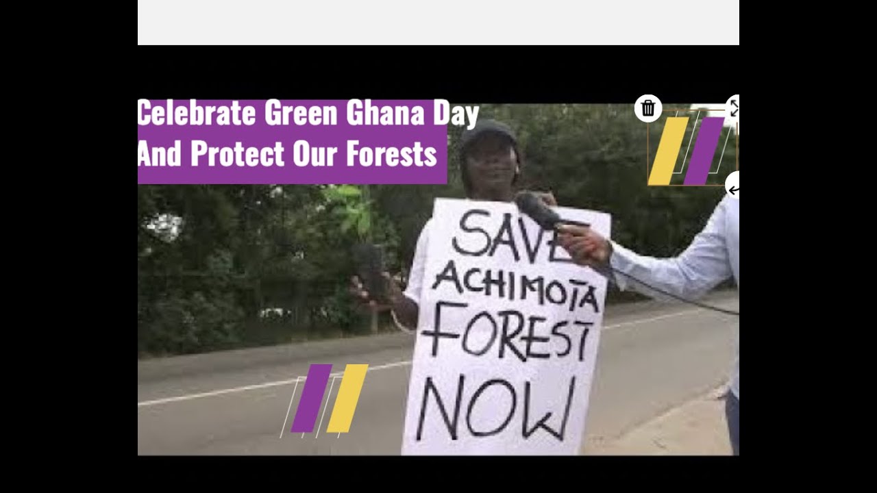 Respect Environment Gh Celebrate Green Ghana Day and protect our forests say environment ...