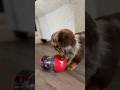 Dinner time