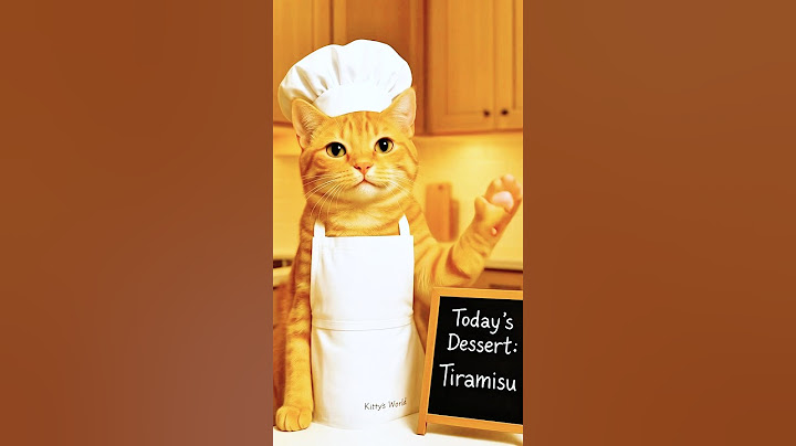 Chef Kitty making a Tiramisu for today’s dessert 🍨 #cookingwithcats #shorts #tiramisu #recipe