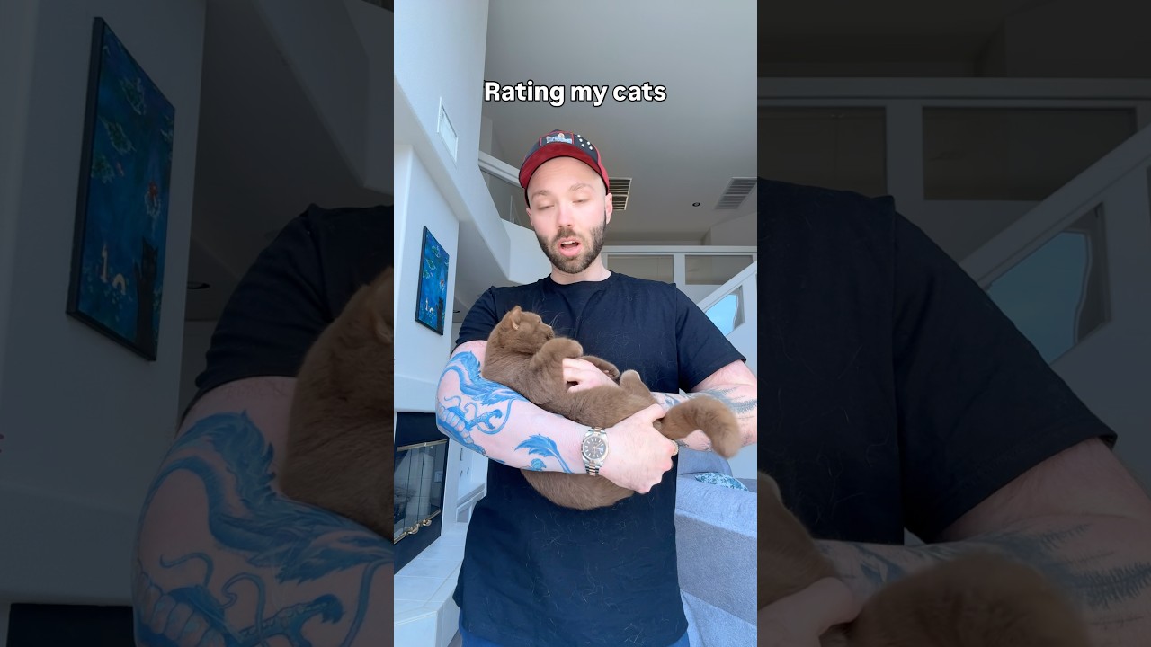 Rating the kitty’s