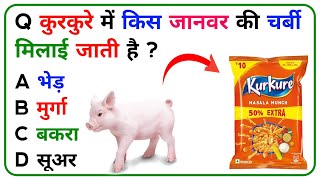 General Knowledge Questions | Most Important Gk Questions | Gk Quiz ||