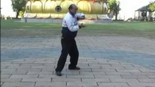 八卦連環掌 八卦遊身掌　王樹金 z002yw01a0036-0.jpg