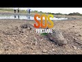 SOS Pantanal Matogrossense