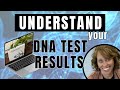 Understanding your Ancestry DNA Test Results