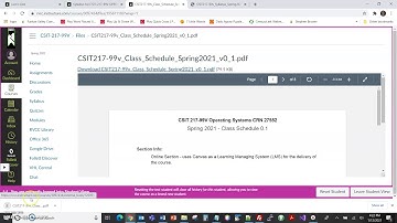 CSIT 217 Course Overview for Canvas Novices