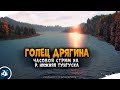 Русская Рыбалка 4 — Голец Дрягина