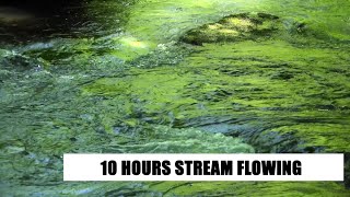 RELAXING STREAM FLOWING - 10 HOURS