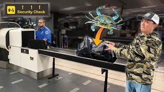 I smuggled LIVE CRABS onto a plane