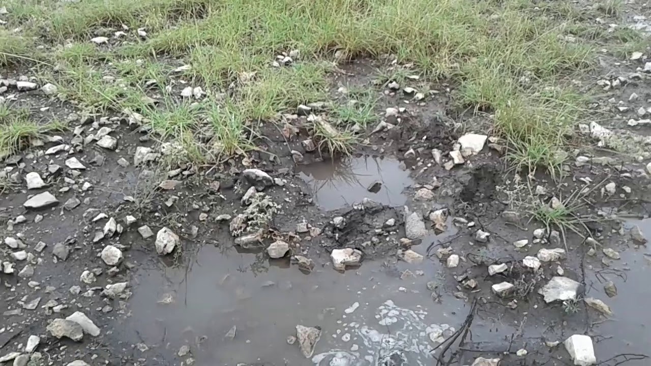homesteading in nevada Hiking After It Rained