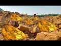 wow amazing day! found a lot gold under stone at foothills on million years
