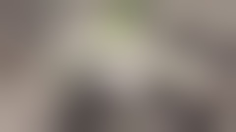 WITTBAG Series Breeder Edition-Big Dans Green Thumb - Big Dans Genetix