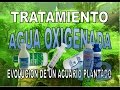 Tratamiento agua oxigenada capitulo1/2.Evolucion de un acuario plantado PARTE :8.1