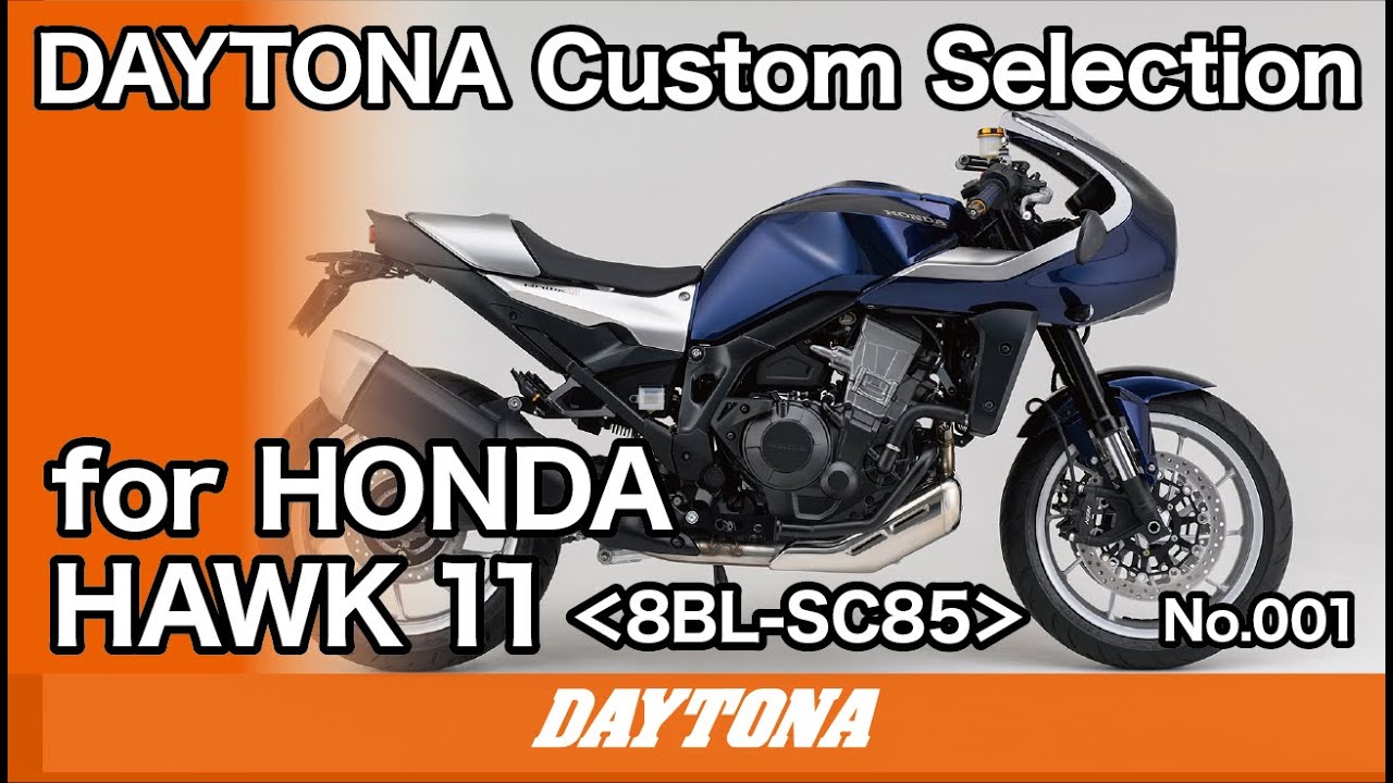 29202 DAYTONA デイトナ フェンダーレスEDGE HAWK11 HONDA_HAWK 11_8BL
