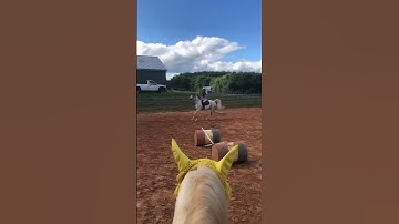 How many strides did you count? #random #counting #strides #equestrian #horsejumping #ytshorts