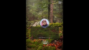 ماتيسر من سورة يس بالمقام العراقي/القارئ يونس الدوسكي 🌿