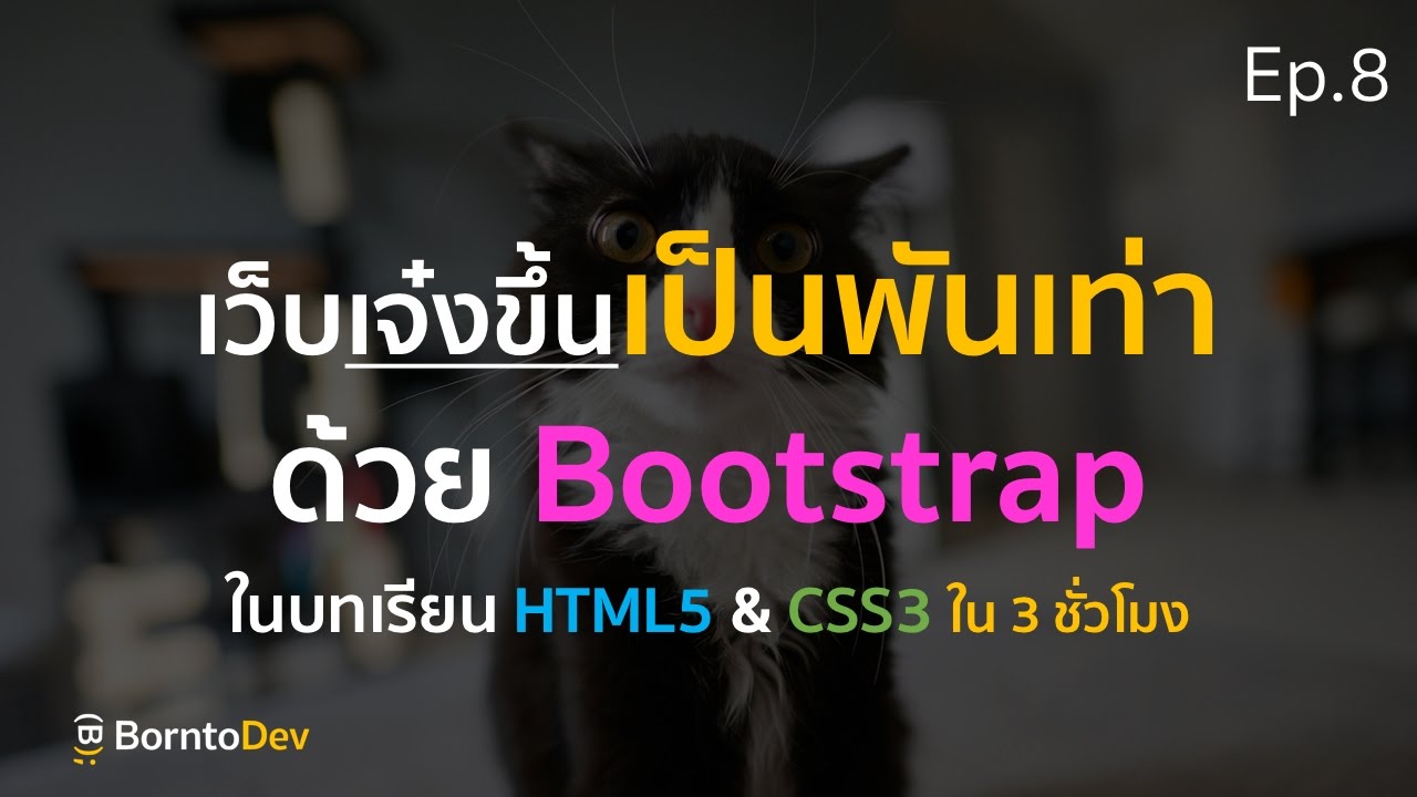 bootstrap วิธีใช้  New Update  เว็บเจ๋งขึ้น \