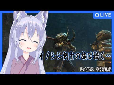 【DARK SOULS REMASTERED】イノシシ剣士の旅は続く… #11【Vtuber】