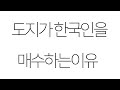 🚨속보🚨 도지코인이 한국인을 매수하는 이유