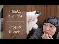 【小腸がんステージ4】久々のウィッグで雨の日のドライブ☔️🚗