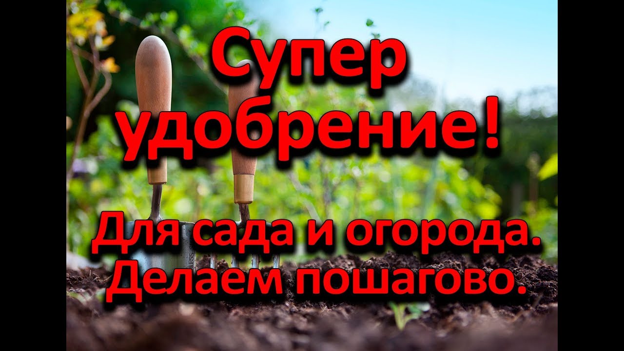 Супер удобрение! Делаем пошагово!