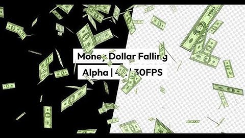 Money Dollar Falling Alpha 4K | Motion Graphics template - Envato elements