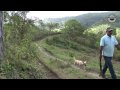 Nicaragua - Portrait of an Organic Farmer - Prodecoop