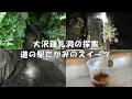 【新潟観光】 大沢鍾乳洞の探索と道の駅田上の紹介（260923）