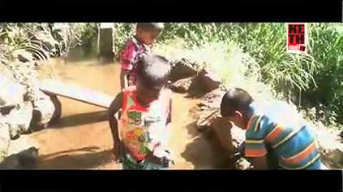 පුනරුත්පත්තිය ගැන ඔබ අසා නැති කතාවක් දැක බලාගන්න