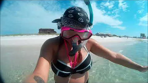 Another one?! Snorkeling Navarre Beach for seashel...