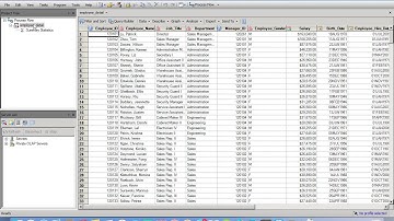 L9  Generating Summary Statistics in SAS EG