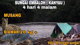 4 HARI 3 MALAM BERBURU DAN BERMALAM DI HULU SUNGAI EMBALOH (KANYAU) BERSAMA TEMAN @Enggang_Borneo