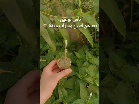 ناس نوعين بعد عن التنين وشراب متةة متة اكسبلورexplore ترند سوريا تصميمي تصويري قهوة تابعوني