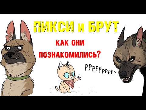 Пикси и Брут "ЗНАКОМСТВА". Трогательная история дружбы военного Пса и Котенка! Комиксы от ХаХмачо