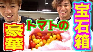 トマトの宝石頼んでみた！