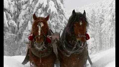 Have A Merry Christmas.wmv