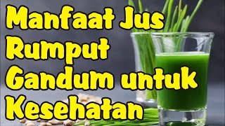 Download Lagu Manfaat Jus Rumput Gandum untuk Kesehatan MP3
