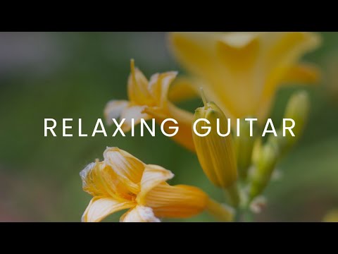 Soft Guitar Music and Rain to Work and Focus (1 Hour)