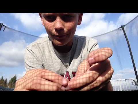 how to your to do cool tricks tricks to do with your how to your to do cool tricks tricks to do with your