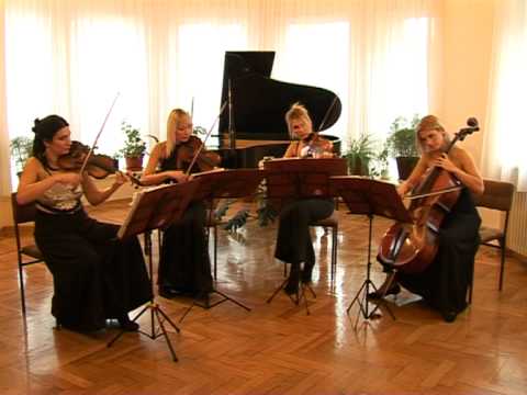 Lullaby of birdland-Wonder string quartet