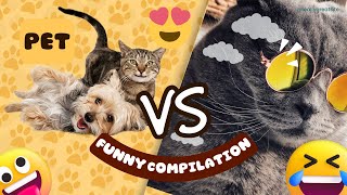 Happiness Is Snoring Sleep N Licking Foot Cute Dogs And Cats