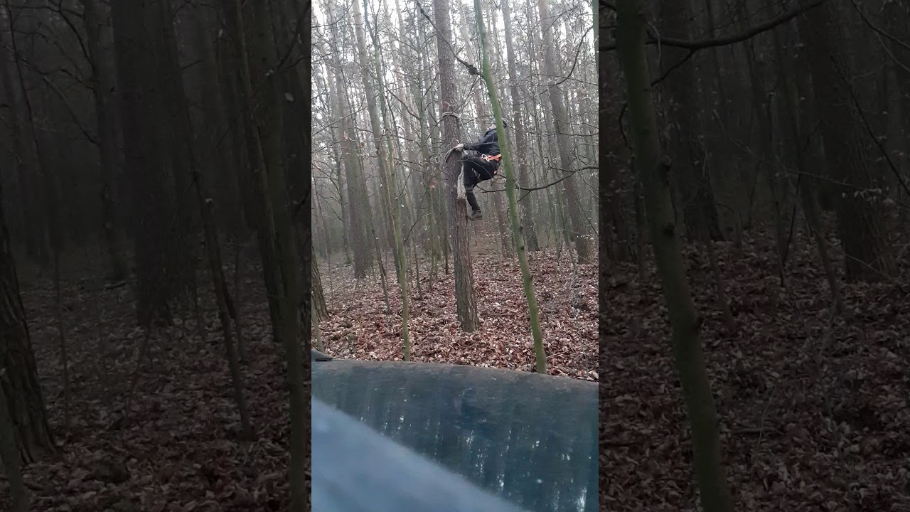 Nietypowe w Polsce słupołazy