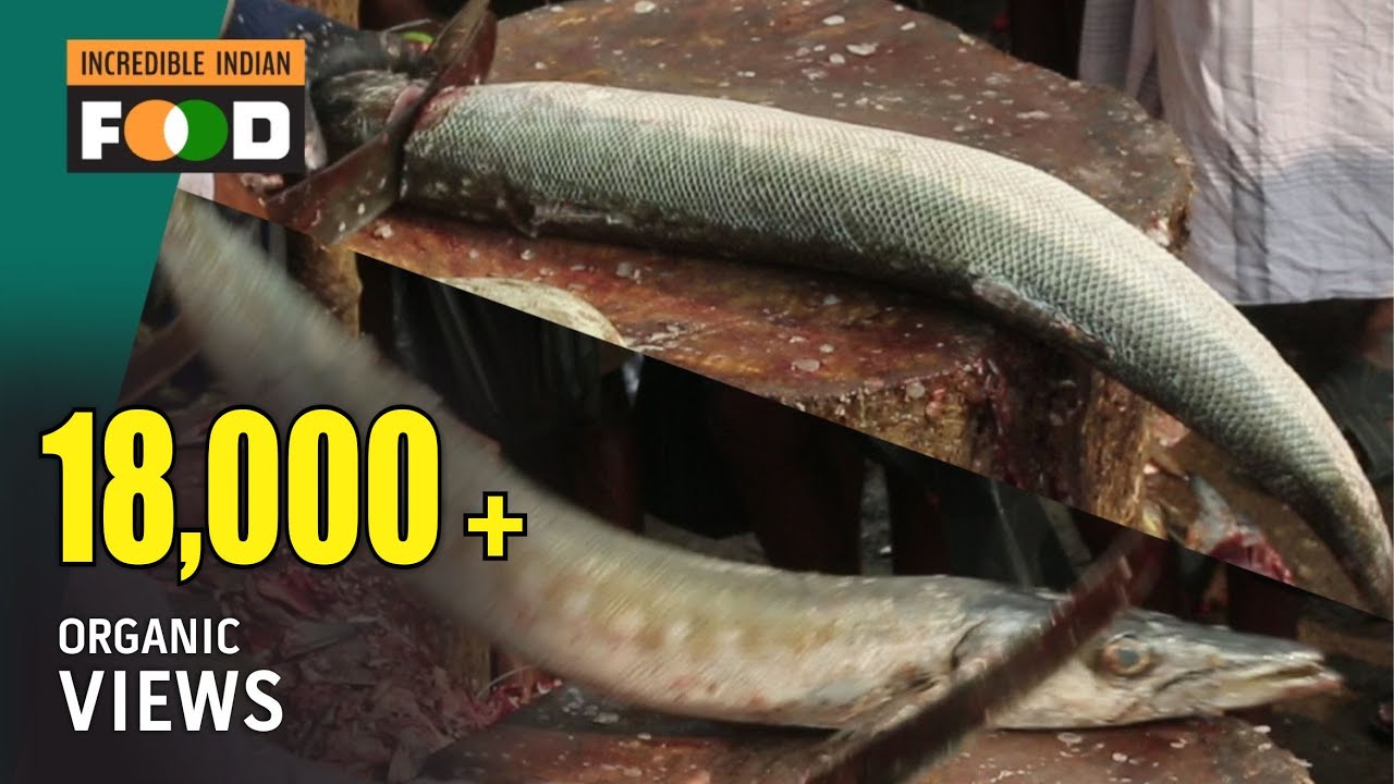 3-feet-barracuda-fish-in-to-56-pieces-seela-fish-cutting-youtube