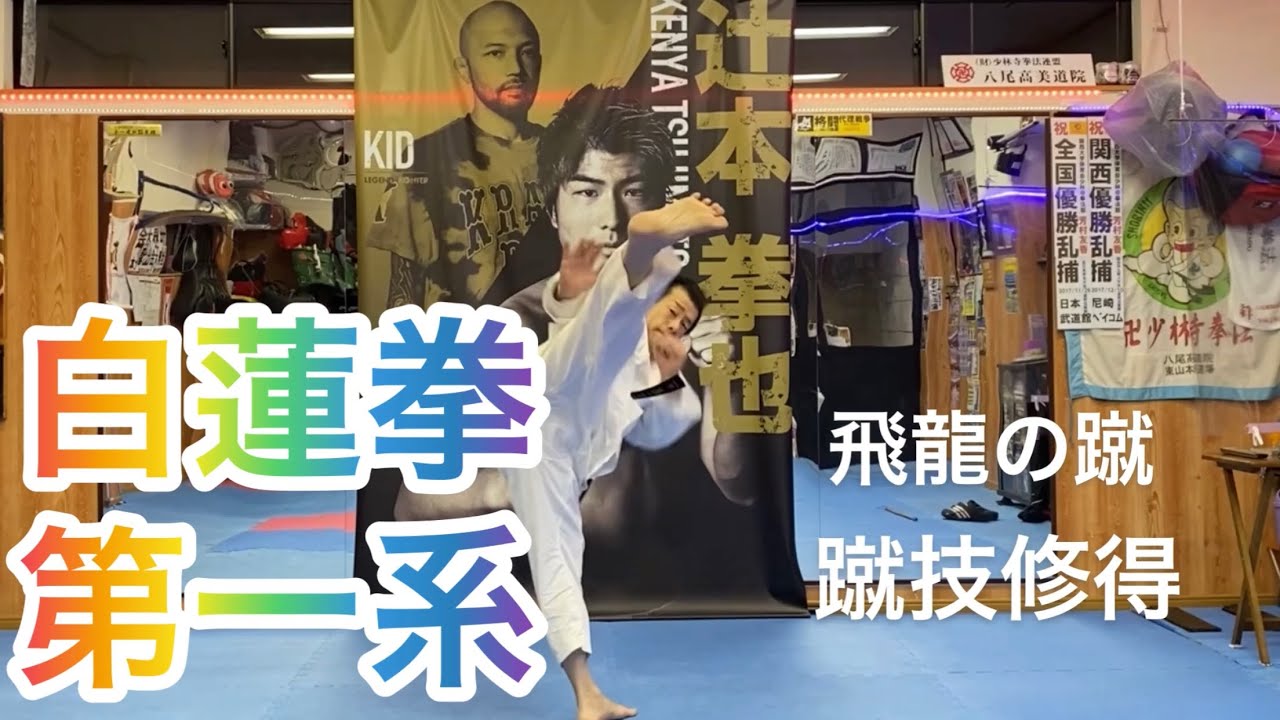 白蓮拳第1系 対面鏡方式修練 #単演基本形 #少林寺拳法オンライン #少林寺拳法 #龍の形逆小手単演 #型#形 #天地拳#義和拳 #白蓮拳第1系