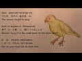 Canary カナリヤ 英語訳 歌をわすれた金糸雀は♪(1919)