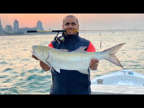 جق شيم في الدردور