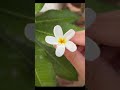 Documenting the little things. Day 5/30#facelesscreator #minivlog #aesthetic #dailyroutine