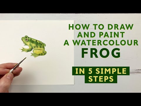 How To Draw And Paint A Watercolour Frog In 5 Easy Steps