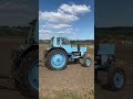 Трактор МТЗ (Беларус) 80
